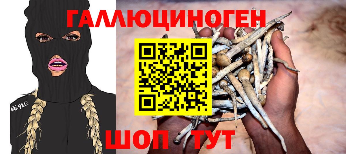 Псилоцибиновые грибы Psilocybe Симферополь