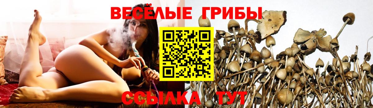 ГАШИШ  A-PVP СОЛЬ кристаллы  Кокаин  Вход с VPN  МЕФ   Симферополь  МАРИХУАНА 